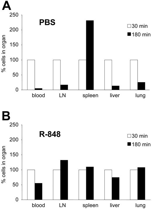 Figure 3. R-848 leads to the retention of PBMCs in all peripheral organs. CFSE-stained spleen cells were adoptively transferred into animals that had been pretreated with PBS (A) or R-848 (B). Thirty minutes after transfer, blocking reagents to E- and P-selectin were injected, inhibiting further emigration to peripheral organs. An additional 30 (□) or 180 minutes (▪) later, animals were killed and the blood as well as peripheral organs were analyzed for the presence of adoptively transferred cells. The amounts found after 30 minutes were set to 100%, and the results after 180 minutes were calculated relative to this amount. In PBS-treated animals cells leave peripheral organs and home to the spleen, while in R-848-treated animals cells remain attached to all major peripheral organs with no obvious enrichment in the spleen.