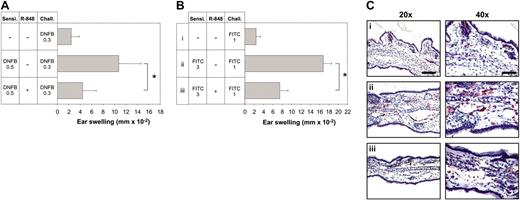 Figure 6. R-848 inhibits the elicitation of CHS. Mice were sensitized with DNFB (A) and FITC (B), and challenge with the respective hapten was performed 5 and 6 days later. R-848 was injected during the challenge process. Twenty-four hours after challenge, CHS was determined as increase in ear thickness compared with the vehicle-treated ear. Immediately after measuring ear thickness, ears were harvested for immunohistochemical staining with anti-Gr-1 (C). Corresponding groups in panels B and C are labeled i-iii. Data represent means of 5 to 7 mice per group. Each experiment was repeated at least 2 times. The scale bar represents 100 μm (left column) or 50 μm (right column). Error bars indicate standard deviation. *Significant difference between the 2 bars.