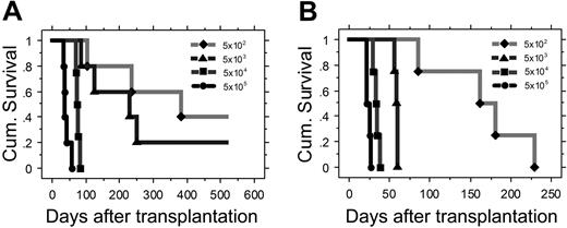 Figure 4. Malignant cells from MSCV-Myc and MSCV-Myc+Bcl-2 mice are readily transplantable into secondary recipients. Kaplan-Meier survival analysis of secondary recipients of (A) MSCV-Myc and (B) MSCV-Myc+Bcl2 cells. Viable mononuclear cells isolated from the spleens of moribund primary animals were counted, serially diluted, and injected into sublethally irradiated syngeneic mice. Number of mononuclear cells injected per mouse is shown. Comparison of panels A and B shows a higher frequency of leukemia-initiating cells in MSCV-Myc+Bcl2 mice.