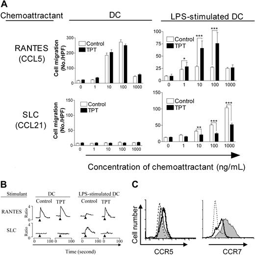 Figure 5. Alteration of LPS-stimulated DC chemotaxis, calcium mobilization, and chemokine receptor expression by TPT treatment. (A) Effects of TPT treatment on DCs and LPS-stimulated DC chemotactic response to RANTES and SLC. Chemokine (RANTES and SLC) was placed in the lower well of chemotaxis chamber. DC suspension was placed in the upper well of the chemotaxis chamber. Polycarbonate filters separated the upper and lower wells. After incubation, the cells that migrated across the filters were stained and counted. The open bars show data from untreated control group; black bars, data from the TPT (D2-7)–treated group. Comparison with untreated control: *P < .05; **P < .01; ***P < .001. Error bars indicate SD. (B) Effects of TPT (D2-7) treatment on RANTES- or SLC-mediated calcium mobilization by DCs and LPS-stimulated DCs. The cultured DCs and LPS-stimulated DCs were loaded with Furo-2 and stimulated with 500 ng/mL of RANTES or SLC. The ratio of fluorescence at 340- and 380-nm wavelengths was recorded and calculated using FL Win Lab program (Perkin-Elmer Life and Analytical Sciences). Arrows indicate addition of stimuli. (C) Effects of TPT (D2-7) treatment on CCR5 and CCR7 expression by Day 9 LPS-stimulated DCs. For cells labeled with mAb or isotype IgG, the CCR5 or CCR7 expression was analyzed by FACS. Dashed-line histogram shows isotype control; gray histogram shows untreated control of LPS-stimulated DCs, and solid-line histogram shows LPS-stimulated DCs which were pretreated with TPT(D2-7). The data are representative of 3 separate experiments with similar results.