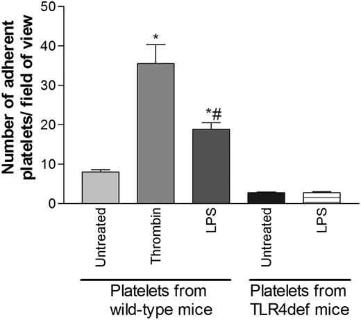 Figure 3. Effects of LPS on platelet adhesion to fibrinogen-coated plates. Isolated platelets (1 × 106/mL) from wild-type mice or TLR4def mice were untreated or treated with LPS (5 μg/mL) or thrombin (0.2 U/mL). Adhesion of platelets to fibrinogen-coated plates was analyzed by using a parallel-plate flow chamber (see “Materials and methods”). Data are expressed as the arithmetic mean ± SEM from 4 separate donors of platelets in each group, in which 4 to 6 fields were analyzed. *P < .05 versus untreated platelets from wild-type mice. #P < .01 versus thrombin-treated platelets from wild-type mice.