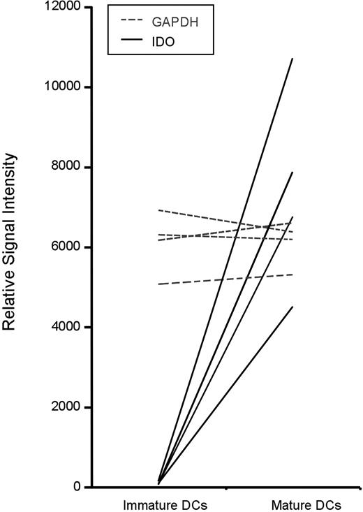 Figure 1. Dendritic-cell maturation induces IDO expression. Extracted data from Affymetrix gene array studies (U133A chips) is shown for the 4 experiments. Immature dendritic cells were differentiated from monocyte precursors using GM-CSF and IL-4. These cells were then exposed to TNFα and PGE2 for 36 hours to generate mature dendritic cells. The raw signal intensity reflects the relative expression of IDO (solid line) and GAPDH (dotted line). Each line indicates an independent donor.