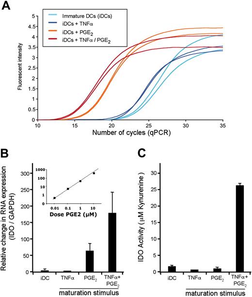 Figure 3. PGE2 triggers the transcription of IDO mRNA. (A-B) IDO mRNA expression in DCs stimulated with TNFα, PGE2, or a combination of both stimuli was monitored by qRT-PCR. The PCR amplification curves from a representative experiment, performed in duplicate, are displayed (A). The same data are reported as a ratio of IDO/GAPDH, again normalized to expression in iDCs (set to a value of 1.0). (B) The inset represents the level of IDO mRNA as a function of the dose of PGE2. (C) DCs exposed to the conditions described above were monitored for their IDO activity. Kynurenine production was measured using a colorimetric assay; known concentrations were used for the establishment of a standard curve (Supplemental Figure S2B). Values are the mean of triplicate wells, and error bars indicate standard deviation. Data in Figure 3 are representative of 4 experiments.