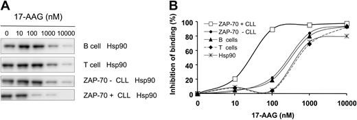 Figure 3. Hsp90 expressed in ZAP-70+ CLL has increased binding affinity for 17-AAG. (A) Protein lysates from different samples were evaluated for their binding affinity to Hsp90 inhibitors in a competitive binding assay using a biotinylated geldanamycin (biotin-GM) probe and increasing concentrations of 17-AAG. (B) Hsp90 derived from ZAP-70+ CLL cells showed a higher binding affinity for 17-AAG with an IC50 of 31 nM (SEM ± 2), whereas Hsp90 from ZAP-70-CLL cells, and normal B and T cells had an IC50 of 300 nM. Purified recombinant Hsp90 had an IC50 of 600 nM. This experiment was reproduced 3 times.