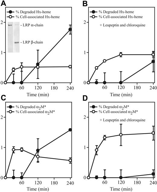 Figure 3. LRP/CD91-mediated endocytosis of 125I-labeled Hx-heme and activated α2-macroglobulin (α2M*) in COS-1 cells. (A) Time course of cell-associated radioactivity and degradation (measured as increase in TCA-soluble radioactivity) in cells incubated with 125I-labeled Hx-heme. The inset shows Western blot of solubilized COS-1 cells with the monoclonal antibodies (refer to legend for Figure 1) against the LRP/CD91 subunits. (B) Time course of uptake and degradation of 125I-labeled Hx-heme in the presence of the lysosomal inhibitors chloroquine and leupeptin (both 300 μM). (C-D) Similar experiments as in panels A and B using receptor-binding (methylamine-activated) 125I-α2-macroglobulin (α2M*) as radioligand instead. All values, which represent the measured radioactivity in percentage of the added radioactivity, are the mean ± 1 SD of triplicate determinations. Each well containing 300 μL medium was incubated with 3000 cpm 125I-Hx-heme (∼0.5 ng).