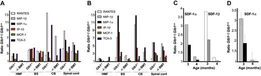 Figure 6. RNA down-regulation of chemokines in brain regions of Glb1-/- mice. (A-B) RNase protection assays revealed that the β-chemokines RANTES, MIP-1β, MIP-1α, IP-10, MCP-1, and TCA-3 were less activated in the hindbrain, midbrain, and forebrain (HMF); brain stem (BS); cerebellum (CB); and spinal cord of treated Glb1-/- mice (-/-BMT) at 3 (A) and 4 (B) months after transplantation than in those regions of untreated Glb1-/- mice (Glb1-/-). The values were normalized to those observed in Glb1+/+ mice. The relative levels of RNA induction were normalized against L32 RNA. (C) At 3 and 4 months of age, the SDF-1α and SDF-1β mRNA levels in the cerebellum of untreated Glb1-/- mice (SDF-1α, ▦; SDF-1β, □) were higher than those in treated Glb1-/- mice (SDF-1α, ▪; SDF-1β, ▧). (D) The amount of SDF-1α protein in the cerebellum was also lower in treated Glb1-/- mice (▪) than it was in untreated Glb1/- mice (▦). Data are expressed as mean ± SD.