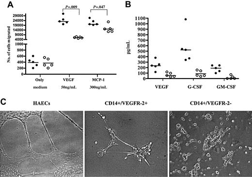 Figure 3. In vitro migratory and tubule-forming capacity of CD14+/VEGFR-2+ and CD14+/VEGFR-2- cells. (A) In a migration assay in the absence and presence of 50 ng/mL concentration of VEGF and 300 ng/mL MCP-1, a significantly higher number of CD14+/VEGFR-2+ cells (•) than CD14+/VEGFR-2- (○) cells migrated toward VEGF and MCP-1. (B) The CD14+/VEGFR-2+ cell population produced higher levels of the angiogenic growth factors, VEGF, G-CSF, and GM-CSF than the CD14+/VEGFR-2- population. (C) CD14+/VEGFR-2+ but not CD14+/VEGFR-2- cells formed capillarylike tubules in Matrigel. HAECs were used as control cells.