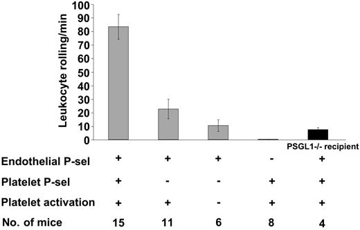 Figure 4. Leukocyte rolling in mesenteric venules 4 hours after platelet infusion depends on platelet and endothelial P-selectin. The number of leukocytes rolling per minute was observed by phase-contrast intravital microscopy. In WT recipients, leukocyte rolling after infusion of P-selectin-/-–activated platelets was significantly less compared to infusion of WT-activated platelets (P < .001). Infusion of WT-activated platelets in either P-selectin-/- or PSGL-1-/- (▪) recipients induced significantly less leukocyte rolling compared to infusion in WT recipients (P < .001). Average ± SEM is shown.
