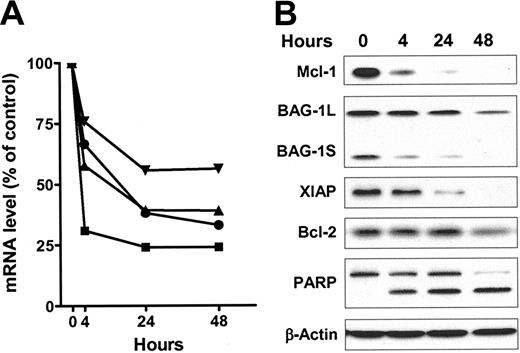Figure 3. Flavopiridol reduced the mRNA and protein levels of antiapoptotic proteins. The total RNA and protein of CLL cells from patient no. 7 were isolated after 4, 24, and 48 hours of incubation with or without 3 μM of flavopiridol. (A) The mRNA levels of Mcl-1 (▴), Bcl-2 (▪), BAG-1 (▾), and XIAP (•) were measured by real-time RT-PCR, each performed in duplicate. After normalizing to 18s ribosomal RNA, the relative level expressed as percentage of time-matched controls incubated in DMSO were calculated for each mRNA. (B) Immunoblots of Mcl-1, BAG-1, XIAP, and Bcl-2 and PARP from the same samples described in panel A.