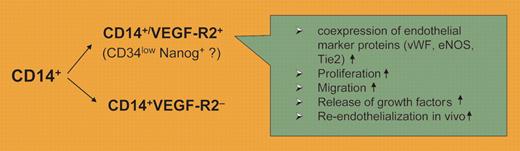 Different features of CD14+ subpopulations.