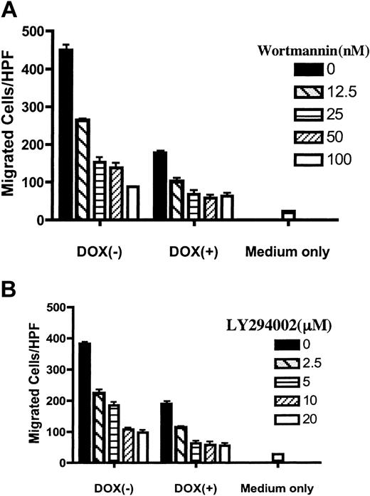 Figure 4. PI3K inhibitors reproduced the inhibitory effect of PTEN on CXCR4-mediated chemotaxis. PIJ-17 Jurkat cells were cultured with or without dox (1 μg/mL) and were then pretreated with wortmannin (A) or LY294002 (B) for 1 hour at RT at the indicated concentrations. The cells were then subjected to chemotaxis assays with SDF-1α (100 ng/mL). The basal migration in the absence of SDF-1α was indicated as medium only. The results were representative of 4 independent experiments. Data shown are means ± SD.