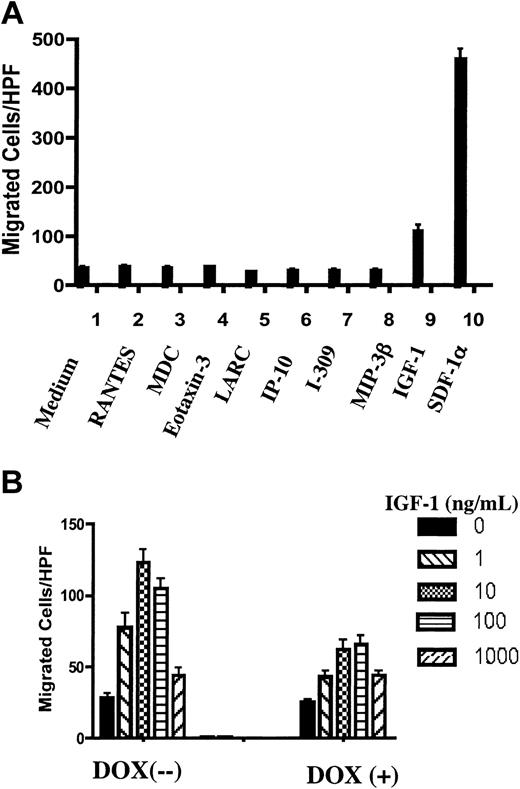 Figure 5. Restoration of PTEN expression in Jurkat cells down-regulated IGF1-mediated chemotaxis. (A) The chemotactic responses of cultured PIJ-17 Jurkat cells (without dox) to different chemoattractants were tested. The concentrations used were determined previously as optimal for chemotaxis of different T lymphocyte subsets: RANTES (50 ng/mL), MDC (100 ng/mL), eotaxin3 (100 ng/mL), LARC (1000 ng/mL), IP-10 (100 ng/mL), I-309 (10 ng/mL), MIP-3β (100 ng/mL), IGF-1 (10 ng/mL), SDF-1α (100 ng/mL). The results were representative of 3 independent experiments. (B) PIJ-17 Jurkat cells were cultured with or without dox (1 μg/mL) for 48 hours and chemotaxis assays were performed as in panel A. The results were representative of 3 independent experiments. Data shown are means ± SD.