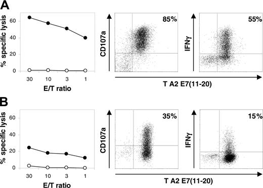 Figure 6. Functional activity analysis of hTERT-transduced, HPV16 E711-20–specific CTL A9-TN. Lytic activity, determined in a chromium release assay using HLA-A2.1–positive JY target cells loaded with MP58-66 peptide (○) and E711-20 peptide (•) at the indicated E/T ratios, CD107a expression in response to E711-20 peptide–loaded JY cells and intracellular IFNγ staining in response to E711-20 peptide–loaded JY cells, respectively, are shown for (A) A9-TN during the first 12 months after hTERT transduction and (B) A9-TN beyond 12 months after hTERT transduction. CD107a and IFNγ staining are shown in combination with HLA-A2.1/E711-20 tetramer (T A2 E711-20) staining. No CD107a and IFNγ staining above background was observed in response to MP58-66 peptide–loaded JY cells. The percentage of double-positive cells is shown in the top right quadrant. The indicated experiment was performed twice with similar results.