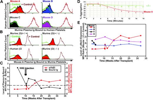 Figure 4. IVIG treatment diminished an antibody response to αIIbβ3. (A) Flow cytometric histograms showed that plasma from mice A and B contained Ig antibodies (shaded peak) that reacted with normal human platelets. Displayed is the relative fluorescence intensity of human platelets incubated with 1:10 diluted murine plasma and an FITC-conjugated F(ab′)2 goat anti–murine IgG Fc secondary antibody. Platelets incubated with secondary antibody and dilution buffer served as a negative control, while a monoclonal antibody to the human αIIbβ3 complex (AP2) was used as a positive control. This result was observed 4 times using platelets from 2 separate human donors analyzed on 2 separate occasions. (B) As in panel A, fluorescence analysis showed that 1:10 diluted plasma from mouse A also reacted with platelets from normal β3+/+, heterozygous β3+/– mice as well as platelets from another human β3-transduced transplant recipient (shaded peak). In striking contrast, plasma did not react with platelets isolated from a β3–/– mouse. Dilution buffer served as the negative control and a PE-conjugated monoclonal antibody to murine GPIbα was used as a positive control. (C) IVIG (0.5 mg/g body weight) was injected each day for 3 days into mouse A. Flow cytometry was then performed with human platelets incubated in plasma from mouse A and secondary antibody as described in panel A. The level of plasma Ig binding to human platelets before and after IVIG treatment of mouse A (black line) was determined by dividing the MFI of platelets incubated with mouse A plasma by the MFI of platelets treated with negative control buffer. The ratio decreased below 2.0 (dotted line), indicating a negligible affinity of plasma Ig for platelet proteins. The overlay graph shows an increase in platelets expressing αIIbβ3 following IVIG treatment of mouse A (orange line). The MFI ratio was calculated from flow-cytometric histograms detecting the binding of an FITC-conjugated antibody against murine αIIb to platelets from mouse A versus antibody binding to β3–/– platelets. These results represent the outcome of IVIG treatment for 3 mice with detectable plasma Ig to human platelets. (D) Following IVIG treatment, mouse A had restored platelet function in an aggregation assay performed at 27 weeks after transplantation. This result was observed using platelets from mouse A and platelets isolated from mice that received a transplant of bone marrow derived from mouse A as second- and third-generation recipients. (E) As in panel C, flow cytometric analysis using the MFI ratio of platelets binding an FITC-conjugated antibody to murine αIIb demonstrated long-term (32 weeks), stable expression of αIIbβ3 on the surface of platelets from mouse A after IVIG and mice B and D. Note: mouse C was killed for the in vivo platelet function assay at week 5.