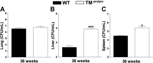 Figure 7. TMpro/pro mice have more mycobacteria in liver and spleen 36 weeks after infection. Mycobacterial loads in CFUs/mL in lungs (A), livers (B), and spleens (C) at 36 weeks after intranasal infection with 104 M tuberculosis. Data are means ± SE of the remaining mice presented in Figure 4 (9/14 TMpro/pro mice and 14/14 WT mice). *P < .05 versus WT mice.