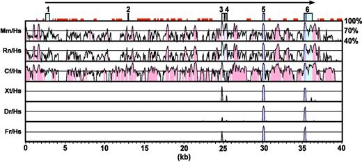 Figure 1. Comparative sequence analysis reveals a conserved noncoding segment in the proximal promoter region of LMO2. MVista37 graphical representation of a Multi-Lagan36 multiple sequence alignment of vertebrate LMO2 loci, where Hs is Homo sapiens, Mm is Mus musculus, Rn is Rattus norvegicus, Cf is Canis familiaris, Xt is Xenopus tropicalis, Tr is Takifugu rubripes, and Dr is Danio rerio. Conserved regions are displayed relative to their positions in the human genome (horizontal axis). Segments that show more than 70% sequence identity (indicated on the vertical axis) at the nucleotide level over a 100-bp window, are highlighted in pink (noncoding regions), cyan (untranslated regions), or purple (coding exons). Exons are displayed above the comparison plots, and repetitive elements are shown in orange.