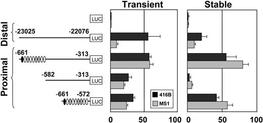 Figure 3. The LMO2 proximal promoter is active in hematopoietic and endothelial cell lines. Shown on the left are the reporter constructs in which the distal promoter or regions of the proximal promoter were inserted upstream of the promoterless pGL2B vector and transfected into 416B and MS1 cell lines. The conserved noncoding sequence, present in the proximal promoter, is depicted by a series of filled circles. LUC indicates luciferase. In the middle panel are the luciferase activities, obtained with each plasmid in transient transfections, corrected for transfection efficiency with the lacZ pEF-BOS LacZ plasmid. On the right are the stable transfection results normalized by cell counts. The luciferase activities are presented as fold-increase over the activity of the basic (pGL2B) vector, which was assigned a value of 1. Each bar is the mean of the relative luciferase activity from at least 2 experiments performed in triplicate, plus or minus SD.
