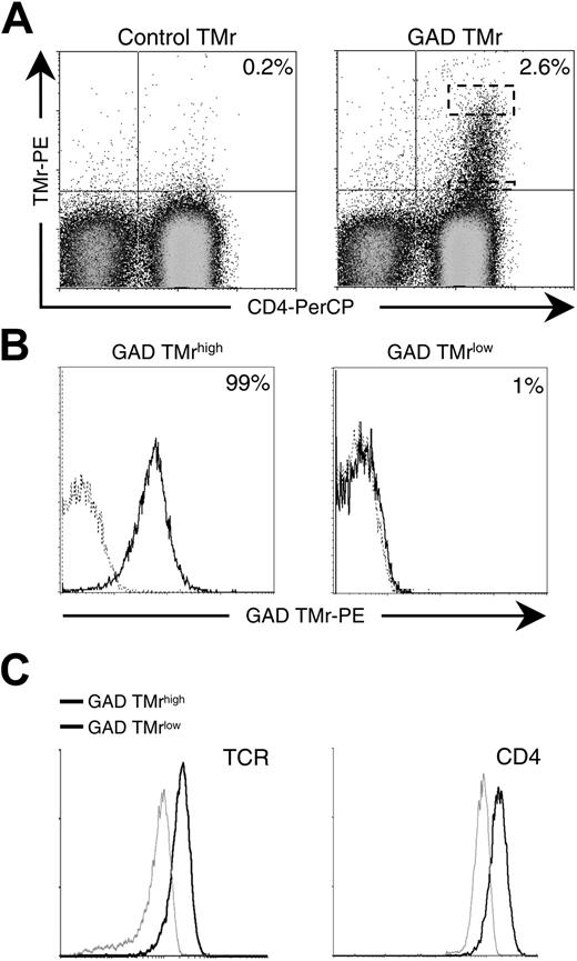 Figure 1. GAD-specific T cells display different TCR avidities. (A) PBMCs from a patient with type 1 diabetes were stimulated with 10 μg/mL GAD555-567 peptide for 10 days and subsequently on GAD-loaded plate-bound MHC monomer and soluble anti-CD28 mAb for an additional 5 days. Control and GAD TMr staining of PBMCs after in vitro expansion is shown. Dashed boxes indicate the cytometry gates for high and low tetramer-binding populations. (B) GAD TMrhigh and GAD TMrlow T-cell populations were single-cell sorted from the dashed areas indicated in panel A and further expanded. GAD TMr (black profiles) versus control TMr (dashed profiles) staining of representative clonal populations obtained are shown. Percents of GAD TMr+ cells are indicated. (C) TCR and CD4 expression in GAD TMrhigh (black profiles) and TMrlow (gray profiles) T cells.