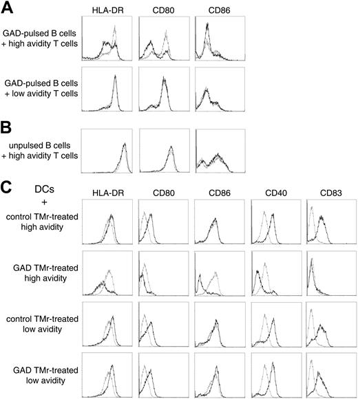 Figure 7. APC conditioning by high- and low-avidity T cells. (A) GAD-pulsed B cells were incubated for 12 hours with sorted Ann-V- high- or low-avidity T cells that had been previously treated with either control TMr (dashed lines) or GAD TMr (black lines). B cells were subsequently gated and analyzed by flow cytometry. (B) The same experiment was performed with unpulsed B cells. (C) GAD-pulsed DCs were incubated as described with sorted Ann-V- high- or low-avidity T cells that had been previously treated with either control or GAD TMr, as indicated. Flow cytometry analysis of gated DCs incubated with the indicated T cells (black lines) is shown in comparison with gated DCs cultured alone (dashed lines).