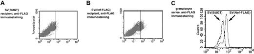 Figure 3. FLAG expression is detected by cytofluorimetry in BM cells of rats injected with SV(Nef-FLAG). Rats received SV(Nef-FLAG) or SV(BUGT) as a negative control: 2 × 1011 IU/rat (1 × 1011 IU/femur). They were killed 1 and 6 weeks later. Bone marrow cells were obtained by flushing the marrow cavities of the femurs with PBS, lysing with ammonium chloride, permeabilizing then immunostaining with anti-FLAG antibody, and analyzing by FACS. (A) FACS scattergram for FLAG expression in BM cells of a representative control rat (SV(BUGT) recipient) 7 days after transduction; (B) of a representative SV(Nef-FLAG) recipient (rat no. 12), 7 days after transduction. Comparable results were obtained at 6 weeks after transduction (not shown). (C) Double immunostaining of BM cells from these rats for granulocyte lineage marker (CD11b) + FLAG, comparing SV(BUGT) recipient (dashed line) and SV(Nef-FLAG) recipient (solid gray line). Insufficient CD3+ cells were present in the marrow to allow analysis of FLAG expression in resident BM lymphocytes (data not shown).