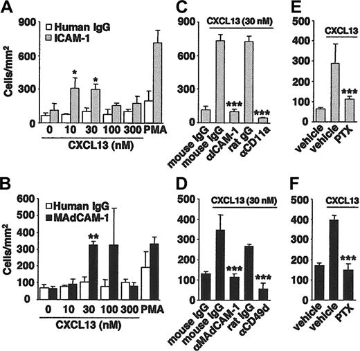 Figure 2. CXCL13 induces B-cell adhesion to ICAM-1 and MAdCAM-1 under static conditions. B cells were stimulated with CXCL13 and allowed to bind to immobilized ICAM-1 (A,C,E), MAdCAM-1 (B,D,F), or control IgG. PMA was used as a positive control. After the unbound B cells were washed off, the bound B cells were counted. The binding of B cells to ICAM-1 (A) was abrogated by mAbs to ICAM-1 or CD11a (C) or by PTX (E). Similarly, the CXCL13-induced B-cell binding to MAdCAM-1 (B) was inhibited by mAbs to CD49d or MAdCAM-1 (D) or by PTX (F). Data represent the mean ± SD of the number of bound B cells in triplicate fields. *P < .05 compared with untreated B cells. **P < .01 compared with untreated B cells. ***P < .01 compared with control IgG- or vehicle-treated B cells.