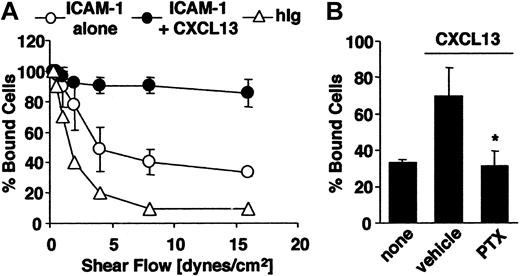 Figure 3. CXCL13 induces shear-resistant B-cell adhesion to ICAM-1 under flow conditions. (A) Shear-resistant B-cell adhesion to ICAM-1 alone or to ICAM-1 with CXCL13. The B cells that remained adherent at each shear-stress level were counted and expressed as a percentage of the initially bound B cells. (B) Pretreatment of B cells with PTX. The shear-resistant B-cell adhesion induced by CXCL13 (16 dyne/cm2) was abrogated by PTX. Data represent the mean ± SD of 3 independent experiments. *P < .01 compared with vehicle-treated B cells.