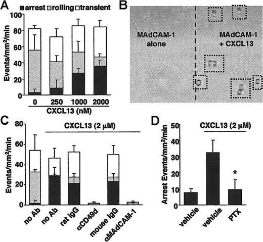 Figure 4. CXCL13 induces B-cell arrest on MAdCAM-1 under flow conditions. (A) B cells were injected at 1 dyne/cm2 into capillary tubes coated with MAdCAM-1 with or without various concentrations of CXCL13. The B-cell interactions with MAdCAM-1 were classified into 3 categories as described in “Materials and methods.” (B) B-cell arrest (dotted squares) was seen only in the CXCL13 coimmobilized area. Images were acquired as described in “Flow adhesion assays.” (C) The adhesive interaction of B cells with MAdCAM-1 was abrogated by mAbs to CD49d or MAdCAM-1. (D) The CXCL13-induced B-cell arrest was inhibited by pretreatment of the B cells with PTX. Data represent the mean ± SD for 3 separate experiments. *P < .05 compared with vehicle-treated B cells.