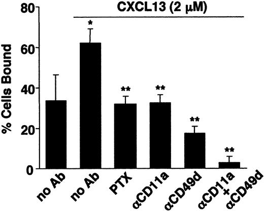 Figure 5. CXCL13 induces integrin-dependent B-cell adhesion to BC1 endothelial cells. B cells were perfused at 0.1 dyne/cm2 on BC1 cell monolayers that were untreated or had been treated with CXCL13. Shear stress was applied at 2 dyne/cm2 for 10 minutes and the remaining adherent B cells were counted. Results are expressed as the percentage of input cells remaining bound. For inhibition studies, B cells were treated with PTX or mAbs to CD11a or CD49d. Data represent the mean ± SD for 3 separate experiments. *P < .01 compared with untreated BC1 cells. **P < .01 compared with vehicle-treated or control IgG-treated B cells.
