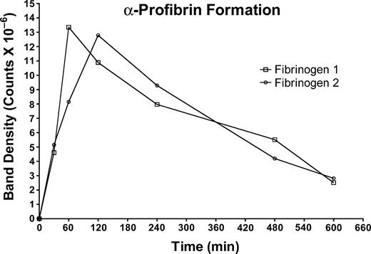 Figure 3. Evolution of α-profibrin from fibrinogen 1 or fibrinogen 2. Fibrinogen 1 (□); fibrinogen 2 (○). The concentration of GPRP-NH2 in the digestion mixture was 4 mM.