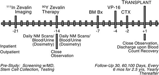 Figure 1. Treatment plan. NM indicates nuclear medicine; BM Bx, bone marrow biopsy; VP-16, etoposide; CTX, cyclophosphamide.
