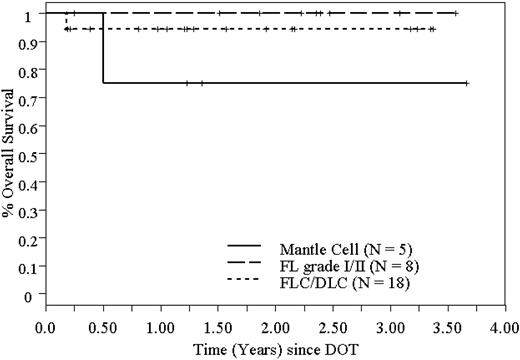 Figure 4. OS of 31 patients who underwent high-dose 90Y-ibritumomab tiuxetan and ASCT in NHL, based on histology.