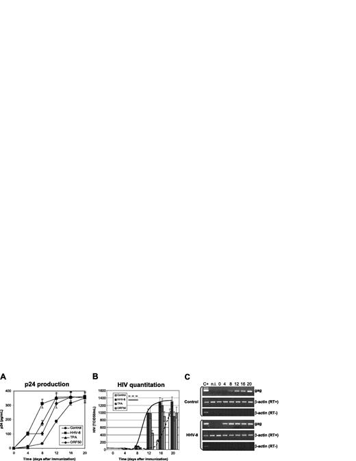 Figure 1. Effect of HHV-8 infection on HIV in monocytes. U937 cells were infected with HHV-8 or transfected with plasmid pCR-50sp and subsequently infected with HIVIIIB at a 1:1000 MOI. Control cells were cultured in the absence of TPA, or mock-infected with UV-inactivated virus, or transfected with the empty pCR vector; the results obtained were identical, and the values shown represent the mean of the 3 controls. p24 antigen release (A) and HIV virion production (B) were evaluated. Values represent the mean of duplicate samples of 2 separate experiments. Error bars indicate SD. (C) The results are shown of rtPCR amplification of HIV gag gene using 200 ng total RNA extracted from infected cells; β-actin amplification is shown as a control. Control for DNA contamination, performed by direct β-actin amplification of RNA without retrotranscription, is also shown.