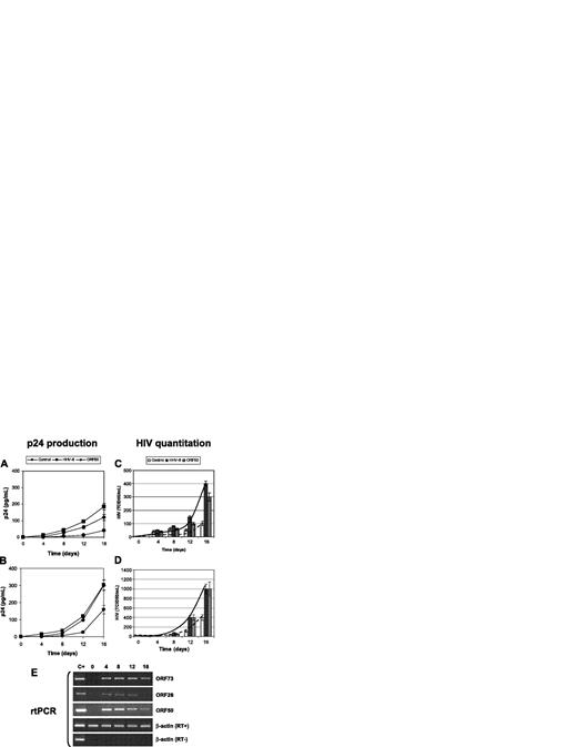 Figure 2. Effect of HHV-8 on HIV in primary macrophages. Primary MDMs from healthy donors were infected with HHV-8 or transfected with pCR-50sp and were subsequently infected with monotropic strains HIVBaL (A,C) and HIVADA (B,D) at a 1:1000 MOI; p24 antigen release (A-B) and HIV particles production (C-D) were evaluated. Values represent the mean of duplicate samples of 2 separate experiments. Error bars indicate SD. (E) The results are shown of rtPCR amplification of the indicated HHV-8 genes using 200 ng total RNA extracted from infected cells; β-actin amplification is shown as a control. Control for DNA contamination, performed by direct β-actin amplification of RNA without retrotranscription, is also shown.