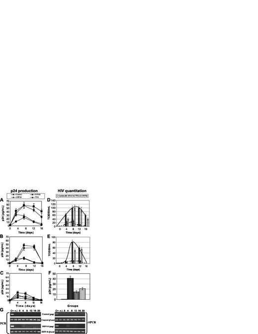 Figure 3. Effect of HHV-8 infection on HIV in primary endothelial cells. HUVEC cells were infected with HHV-8 or transfected with plasmid pCR-50sp, and 24 hours later were infected with HIV. Release of p24 antigen (A-C) and production of HIV infectious particles (D-F) were evaluated. Values represent the mean of duplicate samples of 2 separate experiments; (A,D) monotropic HIVBaL strain (MOI, 1:100), (B,E) monotropic HIVADA strain (MOI, 1:100), (C,F) lymphotropic HIVIIIB strain (MOI, 1:10). HIV production was measured by analyzing p24 release after coculturing infected HUVECs with C8166 target cells for 7 days. Error bars indicate SD. (G) Presence and transcription of HIVIIIB in untreated (Control) and infected (HHV-8) HUVECs. Results are of PCR and rtPCR analyses by amplification of HIV gag gene.