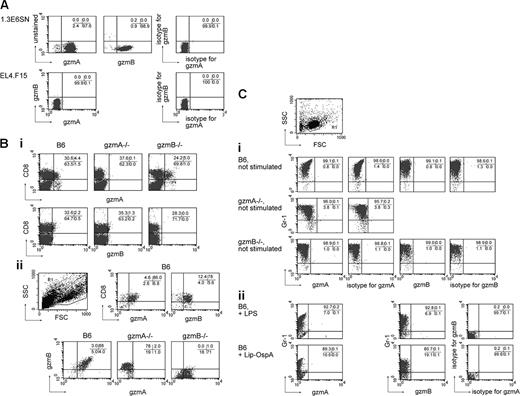 Figure 2. Mouse Gr-1+ granulocytes do not express gzmA or gzmB intracellularly. All indicated cell populations were stained, intracellularly, with either rabbit αmgzmAIS followed by FITC-labeled αrabbit IgG (1:500) or with APC-labeled αhugzmB mAb; rabbit IgG and mouse IgG were used as isotype control, as described in “Flow cytometry.” Analysis was performed using FACSCalibur. (A) 1.3E6SN, EL4.F15:αmgzmA IS (1:1000), αhugzmB mAb (1:100). (Bi) Ex vivo-derived LCMV-immune (day 8 after infection) spleen cells from B6, gzmA-/-, and gzmB-/- mice were stained with αCD8 mAb (1:100) and, subsequently, with either αmgzmA IS (1:100), or αhugzmB (1:1000) mAb for intracellular expression of gzms and analyzed as described in “Flow cytometry.” (Bii) In vitro-propagated alloreactive (H-2b anti-H-2d; third stimulation) T cells from B6, gzmA-/-, and gzmB-/- mice were treated as in panel Bi. (Ci) In vitro-generated granulocytes (BM cells, day 9, G-CSF) from either B6, gzmA-/-, or gzmB-/- mice were stained with the αGr-1 mAb and, subsequently, with either αmgzmA IS (1:100) or αhugzmB (1:10) mAb for intracellular expression of gzms, as described in “Flow cytometry.” (Cii) Alternatively, in vitro-enriched B6 granulocytes were sensitized to either LPS (1 μg/mL) or Lip-OspA (10 μg/mL) for 8 hours, prior to phenotypic analysis, using αGr-1 mAb and either αmgzmA IS (1:100) or αhugzmb (1:10) mAb for intracellular expression of gzms as described above. Numbers in graphs indicate the percentages of gated cells.