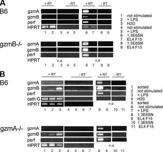 Figure 6. In vitro-generated and FACS-sorted Gr-1+ mouse granulocytes do not express transcripts for Gzma, Gzmb, and Prf1. (A) mRNA was isolated from in vitro-generated and FACS-enriched (Gr-1+) unstimulated or LPS-sensitized (1 μg/mL; 8 hours) B6 and gzmB-/- granulocytes. Gzma, Gzmb, Prf1, or Hprt1 transcripts were analyzed with specific primer pairs for Gzma, Gzmb, Prf1, and Hprt1 by RT-PCR. As positive and negative controls, 1.3E6SN (lanes 6,8) and EL4.F15 (lanes 7,9) were used. Size of amplified fragments was as follows: Gzma, 291 bp; Gzmb, 135 bp; Prf1, 380 bp; and Hprt1, 249 bp. (B) mRNA was isolated from in vitro-generated unstimulated or LPS-sensitized (1 μg/mL; 8 hours) (lanes 2 and 6,7, respectively) or in addition FACS-enriched (Gr-1+; lanes 1 and 5) B6, and gzmA-/- granulocytes and analyzed as described in “Probing for mRNA transcription,” with specific primer pairs for Gzma, Gzmb, Prf1, Ctsg, and Hprt1 by RT-PCR. Size of amplified Ctsg fragments was as follows: 272 bp; as positive and negative controls, 1.3E6SN (lanes 8, 10), and EL4.F15 (lanes 9, 11) were used.