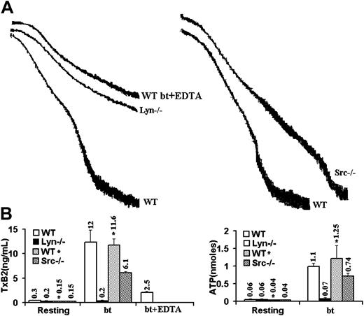 Figure 1. Lyn, but not Src, is required for aggregation, TxB2 production, and ATP secretion. (A) Aggregation and agglutination traces of washed wild-type (WT), Lyn–/–, and Src–/– mouse platelets treated with 0.5 μg/mL botrocetin (bt) and 10 μg/mL von Willebrand factor (VWF). WT platelets aggregated in the absence of EDTA and agglutinated in the presence of EDTA. EDTA chelates Ca2+, thereby preventing fibrinogen binding and platelet aggregation without affecting agglutination.9 Lyn-deficient platelets agglutinated, but failed to aggregate. Src–/– platelets underwent delayed aggregation. (B) The level of TxA2 produced by bt/VWF-stimulated WT platelets in the presence of EDTA is characteristic of agglutination elicited TxA2 production. Lyn–/– platelets did not produce TxA2 or secrete ATP, but Src–/– platelets displayed about a 50% decrease of those functions. The numbers above the bars denote TxA2 produced (ng/mL) or ATP secreted (nM) in response to the indicated treatments. The error bars represent standard deviation, n = 3. In some cases, the values of the SD were so small that the bars cannot be seen.