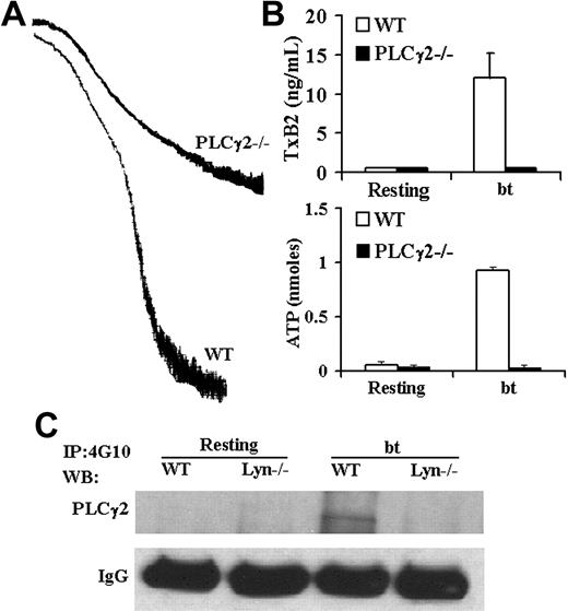 Figure 3. PLCγ2 function is required for bt/VWF-induced platelet aggegation, TxA2 production, and ATP secretion; Lyn is required for tyrosine phosphorylation of PLCγ2. (A) PLCγ2–/– platelets agglutinated, but did not aggregate, (B) produce TxA2, or secrete ATP in response to bt/VWF. (C) Lyn was required for tyrosine phosphorylation of PLCγ2 in response to bt/VWF. The error bars represent standard deviation; n = 3. In some cases, the values of the SD were so small that the bars cannot be seen.