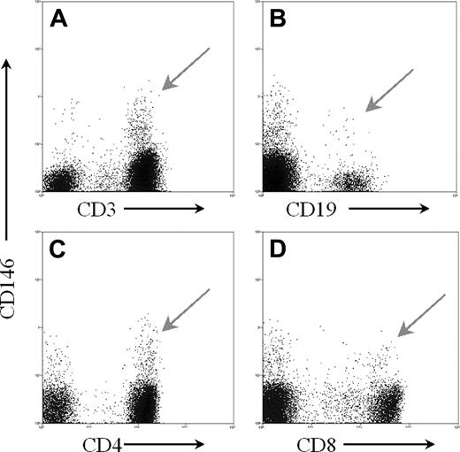 Figure 1. Freshly drawn peripheral blood stained with CD146 and antibodies to various markers for lymphocyte subsets. Using forward and side light scatter, a gate was set around the lymphoid region. A second gate was set to exclude any dead cells displaying 7-AAD staining, and a third gate based on pulse width was set to exclude doublets. All of these histograms were gated on these 3 gates. Additionally, the CD4 and CD8 histograms were also gated on the CD3+ cells. (A) CD3 versus CD146; (B) CD19 versus CD146; (C) CD4 versus CD146; and (D) CD8 versus CD146. Arrows indicate CD146+ lymphocyte subsets.