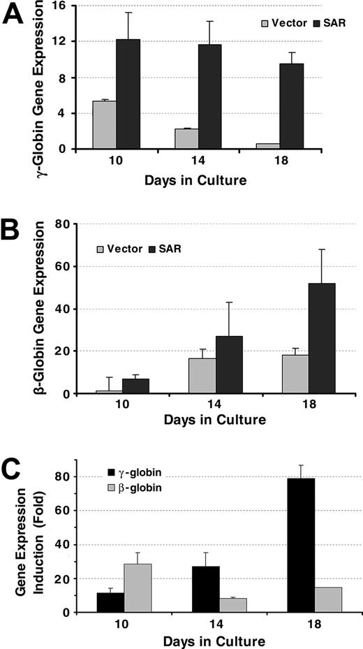 Figure 3. γ-globin and β-globin gene transcription in CD34+ cells determined by real time PCR. (A) γ-globin gene expression in CD34+ cells infected with an SAR retrovirus and vector control cells, normalized with β-actin gene. (B) β-globin genes expression in CD34+ cells infected with an SAR retrovirus and vector control cells, normalized with β-actin gene. (C) Comparison of SAR effect on γ-globin and β-globin genes in SAR-expressing CD34+ cells, shown as fold increase compared with vector control cells. Error bars indicate standard deviation of the mean of 3 independent experiments.