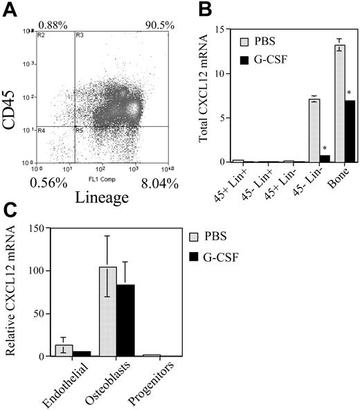 Figure 5. Regulation of bone marrow stromal cell activity during G-CSF–induced HPC mobilization. (A) Bone marrow cells were recovered from the femurs and tibiae of mice by flushing and treating with collagenase and then sorted into the indicated cell populations based on CD45 and lineage expression. Shown is a representative histogram. (B) To examine cells firmly adherent to the bone matrix, the flushed femurs were injected with TRIzol to obtain the “bone fraction.” Total CXCL12 mRNA in each cell population was estimated by multiplying the measured CXCL12 mRNA by the cell number in each cell fraction; the number of cells in the bone fraction was estimated based on β-actin mRNA levels. *P < .05. (C) Cells harvested from the bone fraction were sorted into the indicated cell populations (see “Materials and methods”) and CXCL12 mRNA expression relative to β-actin expression was measured. Data represent the mean ± SEM.