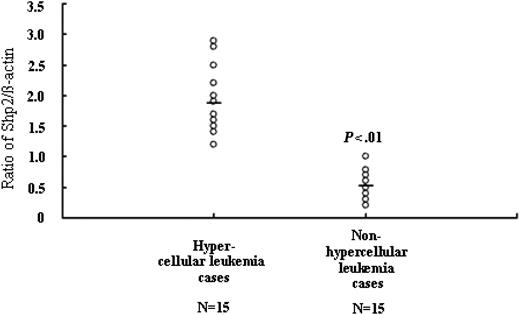 Figure 5. Relationship between p-Shp2 levels and bone marrow cellularity in leukemia. For each sample, 20 μg cellular proteins was analyzed by Western blot with anti-Shp2 and β-actin antibodies. Results were expressed as Shp2/β-actin ratios, and the mean values in hypercellular leukemia and nonhypercellular leukemia cases were 1.873 ± 0.527 and 0.525 ± 0.262, respectively.