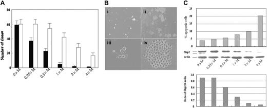 Figure 7. Shp2 antisense oligonucleotides induce growth inhibition and apoptosis of leukemic clonogenic growth. (A) Leukemic cells were plated in 24-well culture plates in 0.5% soft agar with different concentrations of Shp2-specific antisense oligonucleotide (▪) for 7 days, and then colonies (> 40 cells) were counted using an inverted microscope. Each experiment was performed at least 3 times. Note: The sense oligonucleotide of Shp2 (□) was also found to have a modest growth inhibition on leukemic colonies at high concentrations. (B) Microphotographs of leukemic colonies after exposure to antisense (i, iii) and sense (ii, iv) oligonucleotides at 2 μM for 72 hours. Images were viewed at 400 ×/0.75 NA, with a Zeiss Axioskop II microscope. Images were captured with a SPOT 1.3.0 CCD camera and transferred to Adobe Photoshop 6.0. (C) Leukemia cells were cultured in RPMI-1640 with 10% serum, treated with different doses (0 μM-4 μM) of Shp2-specific antisense oligonucleotides for 72 hours, and then collected for analysis of Shp2 expression by Western blot, and apoptosis with FCM. Data are representative of 3 independent experiments with standard error.