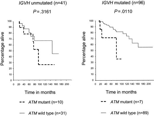 Figure 2. ATM mutations reduce both OS and TFS, independently of IGVH status. Patients with CLL with ATM mutations had poorer OS than did patients with CLL with ATM wild-type mutations, and this was more marked in the IGVH mutated (P = .0110) than unmutated (P = .3161) subgroup. The stratified log rank test for both graphs was significant (P < .001), therefore, indicating that ATM mutations reduce survival after adjusting for IGVH status.
