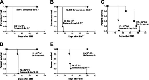Figure 2. Dose response of donor spleen cells necessary for the increased GVHD mortality by delayed bortezomib administration. (A-B) B6 (H2b) recipients of BALB/c (H2d)15 million BMCs with or without 15 million spleen cells (SCs) were treated with 15 μg bortezomib per dose daily. Morbidity was not observed in mice that received BMCs but not SCs and delayed bortezomib administration from day +5 through +7 (A) or bortezomib treatment from day 0 through +2 and from day +5 through +7 (B) after BMT. Significant decreases in survival were observed in delayed bortezomib-treated mice with SCs (▾, ▴) compared with delayed bortezomib-treated mice without SCs mice (•; panels A and B, P < .001). (C-E) B6 (H2b) recipients of BALB/c (H2d) 15 million bone marrow with 15 million (C), 10 million (D), or 5 million (E) SCs were treated with or without 15 μg bortezomib per dose daily. Delayed bortezomib treatment from day +12 through +14 after BMT accelerates GVHD mortality. Significant decreases in survival were observed in bortezomib-treated mice (▾) compared with mice that received PBS (no bortezomib-treatment; ▪; P < .005). Results from 1 of 3 independent experiments are presented. Each experiment consisted of 5 to 10 mice per treatment group.