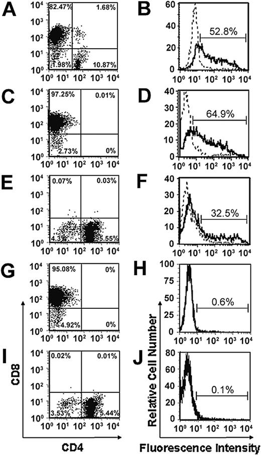 Figure 1. Expression of the scFv-CD28-ζ receptor in transduced CD8+ and CD4+ primary mouse T cells. Splenic T cells enriched from BALB/c mice were depleted into CD4+ and CD8+ T-cell subsets or left as unfractionated T cells prior to retroviral transduction with the scFv-CD28-ζ receptor. Transduced unfractionated T cells consisted of 80% to 85% CD8+ T cells and about 10% CD4+ T cells (A), whereas isolated populations consisted of more than 90% CD8+ (C,G) or CD4+ T cells (E,I). Chimeric scFv receptor expression was detected in unfractionated transduced T cells (B), CD8+ (D), and CD4+ (F) T cells by flow cytometry following staining with an anti-tag mAb and PE-labeled sheep anti–mouse immunoglobulin (solid line) or with the PE-labeled secondary alone (dashed line). Negligible receptor expression was detected in isolated populations of CD8+ (H) and CD4+ (J) T cells transduced with the empty LXSN vector. Similar results were obtained in 10 experiments.