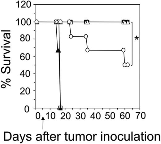 Figure 4. Antigen-specific release of IFN-γ by transduced CD8+ T cells is critical for enhanced survival of mice. The scid mice were given intravenous injections of 5 × 106 MDA-MB-435-erbB2 tumor cells followed by combined transfer of transduced CD8+ (5 × 106) and CD4+ (5 × 106) donor T cells at day 5 from BALB/c wild-type or BALB/c IFN-γ–/–mice. Mice received either 1:1 transfer of scFv-CD28-ζ–transduced CD8+IFN-γ+/+/CD4+IFN-γ+/+ T cells (▪), CD8+IFN-γ–/–/CD4+IFN-γ–/–T cells (▴), CD8+IFN-γ–/–/CD4+IFN-γ+/+ T cells (○), or CD8+IFN-γ+/+/CD4+IFN-γ–/–(▵) T cells. Control mice received a 1:1 transfer of wild-type CD8+ and CD4+ T cells transduced with the scFv-anti-CEA-γ receptor (□). Results are calculated as the percentage of each group surviving and are representative of 2 experiments. Arrows depict the day of T-cell transfer (*P < .05, Mann-Whitney test).