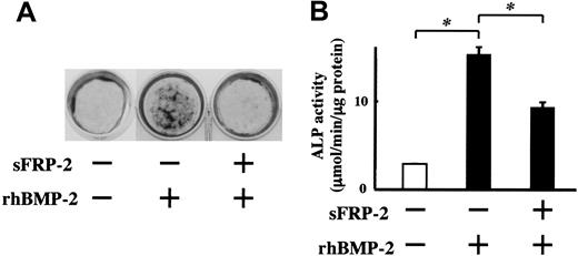 Figure 4. Recombinant sFRP-2 suppresses ALP activity and mineralization induced by BMP-2 in MC3T3-E1 cells. MC3T3-E1 cells were cultured in the osteogenic medium. Recombinant mouse sFRP-2 was added at 1 μg/mL in the presence of rhBMP-2 (50 ng/mL). (A) Mineralized nodules were visualized at day 14 by von Kossa staining. (B) ALP activity was determined at day 10. Results are expressed as mean ± SEM of triplicate experiments. * indicates significantly different by Student t test, P < .05.
