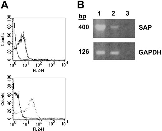 Figure 3. Expression of SLAM and SAP in human platelets. (A) Top panel: FACS analysis of resting platelets stained with nonspecific (solid line) or α-SLAM (broken line) IgG-PE and TRAP-activated platelets stained with α-SLAM IgG-PE (dotted line). Bottom panel: platelet activation confirmed by α-CD62P IgG-PE staining of resting (solid line) and activated (dotted line) platelets. (B) RT-PCR of SAP and GAPDH from platelet (lane 1) and spleen (lane 2) cDNA with dH2O as a control (lane 3). Data are representative of experiments repeated at least 3 to 5 times.