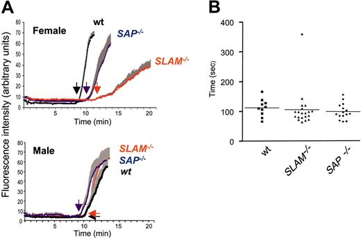 Figure 6. In vivo thrombus formation and bleeding times in wt, SLAM–/–, and SAP–/– mice. (A) Intravital microscopy of thrombus formation after FeCl3 injury of the mesenteric artery in young C57Bl/6 wt (black), SLAM–/– (blue), and SAP–/– (red) mice was determined as described.13 The deposition of rhodamine 6G–labeled platelets at site of vessel wall injury (thrombotic profile) was determined by intravital microscopy of the mesenteric artery of 3-week-old mice; one vessel was studied per mouse. The increase in fluorescence intensity relates in a linear fashion to the number of platelets.%13 Tracings represent the means of the thrombotic profiles obtained from female (upper panel) and male (lower panel) mice (n = 7, ± SEM). Arrows indicate the time of appearance of the first thrombus. (B) Timing of cessation of tail bleeding in wt (n = 10), SLAM–/– (n = 20), and SAP–/– (n = 16) mice performed as previously described.1 No sex differences were observed in any group. Means depicted by (horizontal lines).